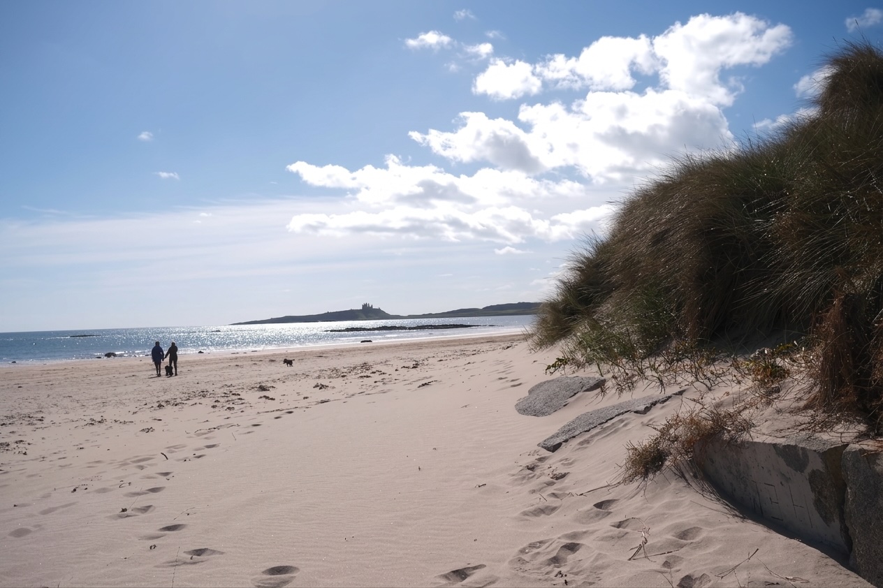 View toward Dunstanburgh Castle from the beach